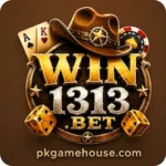 Win1313 Game