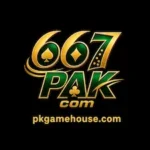 667PAK Game