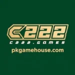 C222 Game