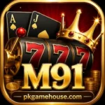 M91 Game