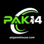 PAK14 Game APK online gaming platform for Android