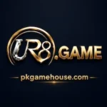 UR8 Game