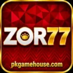 ZOR77 Game